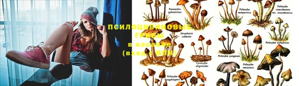 гашиш Беломорск