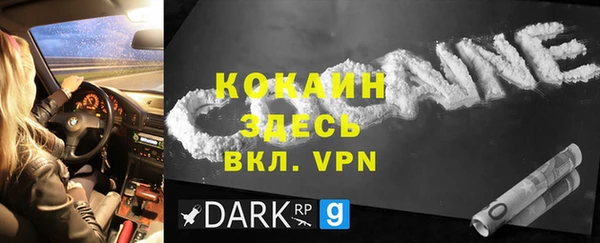 PSILOCYBIN Белокуриха