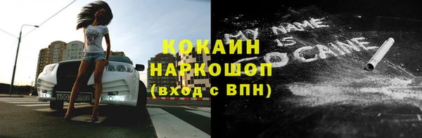 PSILOCYBIN Белокуриха